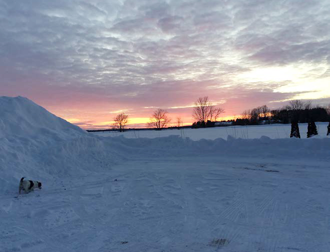 From the Editor — January/Feburary 2020